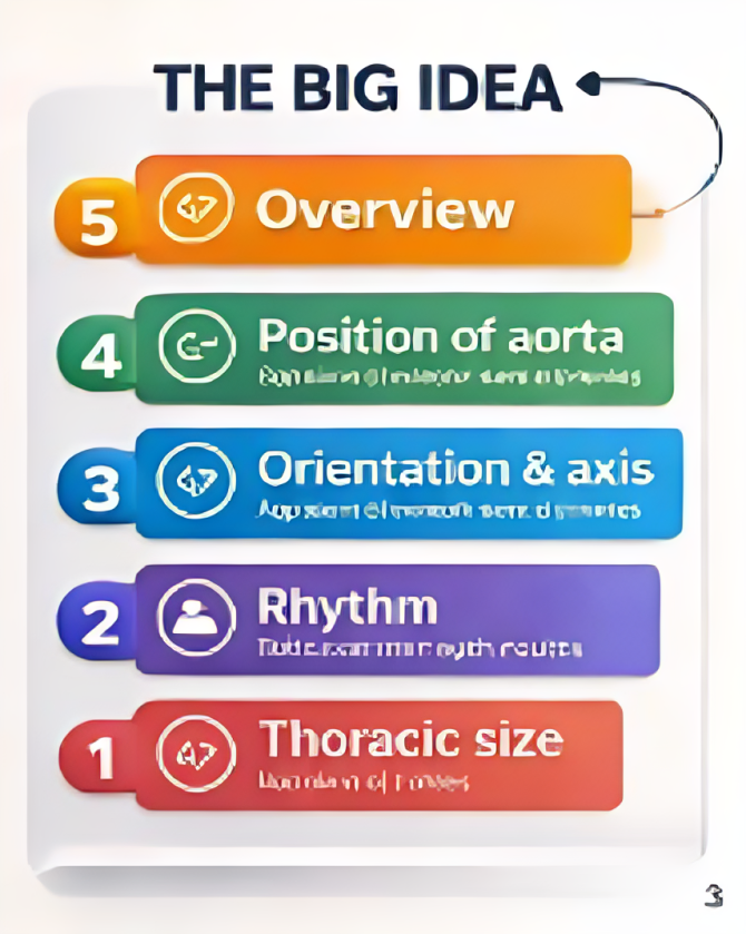 NT Scan in Early Pregnancy